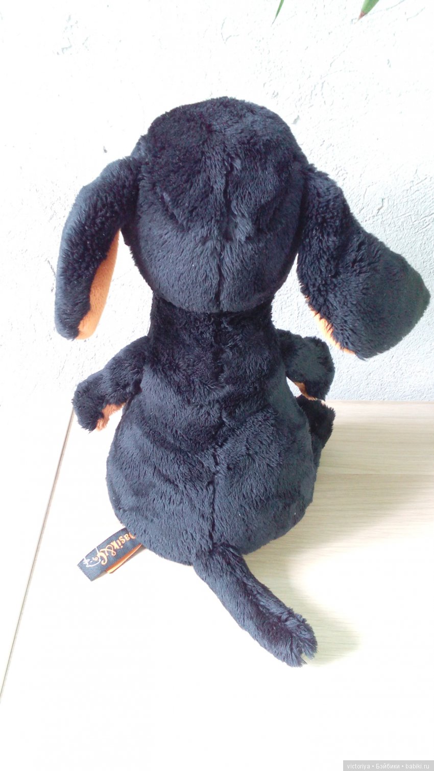 Обзор собачки Ваксона от Budi Basa