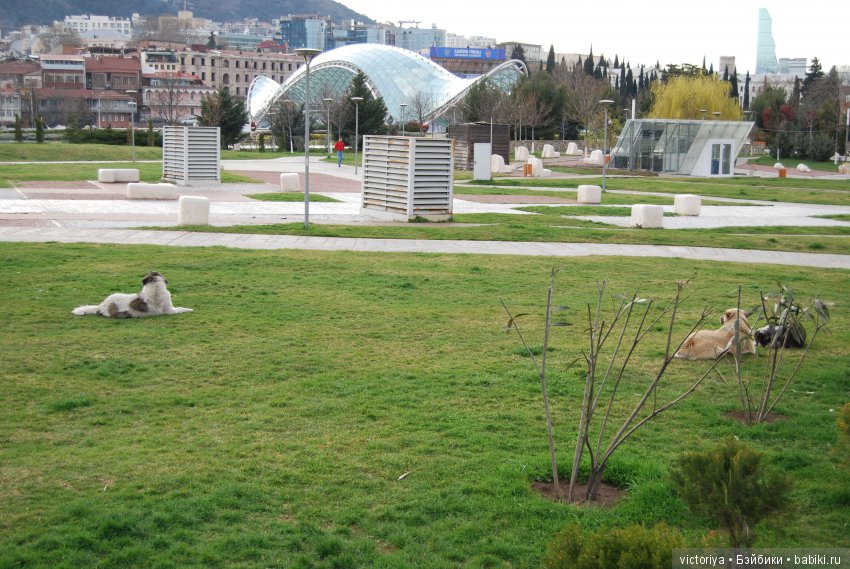 Мэри встречает весну в Грузии. Часть 1 - Тбилиси