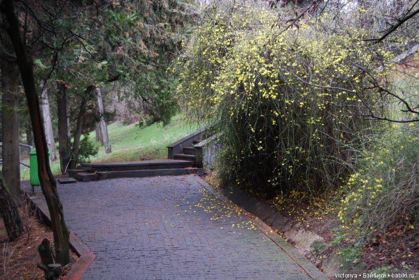 Мэри встречает весну в Грузии. Часть 1 - Тбилиси