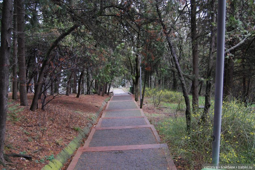 Мэри встречает весну в Грузии. Часть 1 - Тбилиси