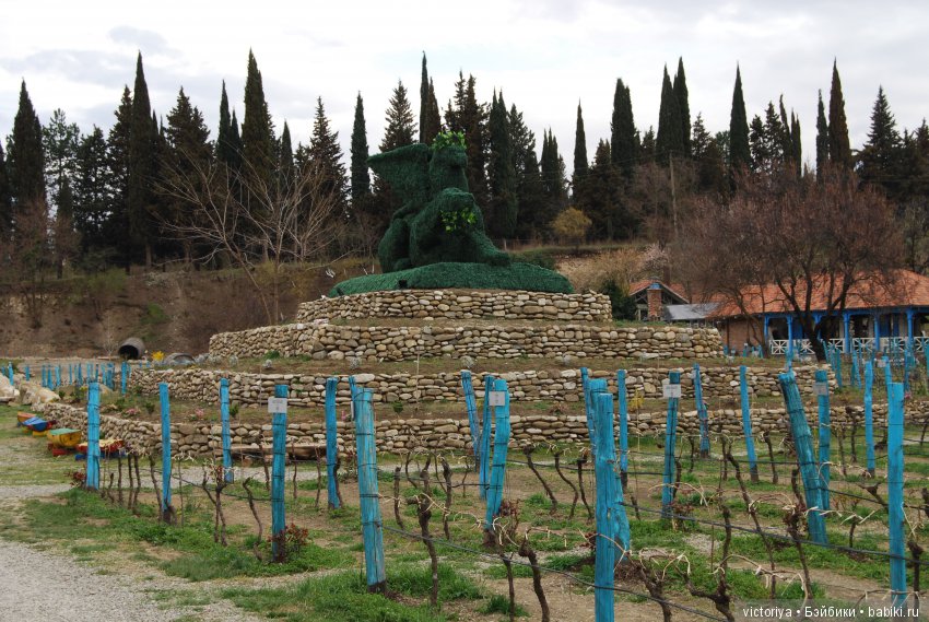 Мэри встречает весну в Грузии. Часть 4 - Кахетия