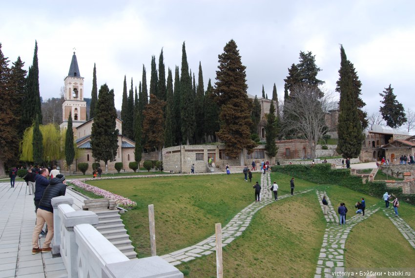 Мэри встречает весну в Грузии. Часть 4 - Кахетия (фото 3)