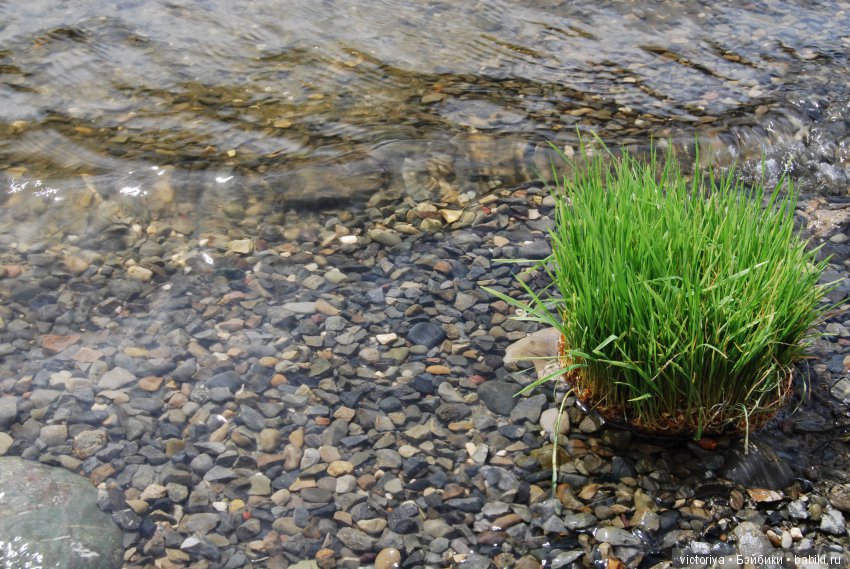 Мэри встречает весну в Грузии. Часть 3 - Тбилиси. Ваке-парк и Черепашье озеро (фото 9)