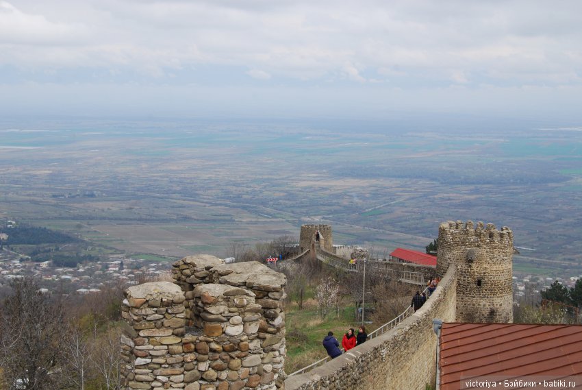 Мэри встречает весну в Грузии. Часть 4 - Кахетия