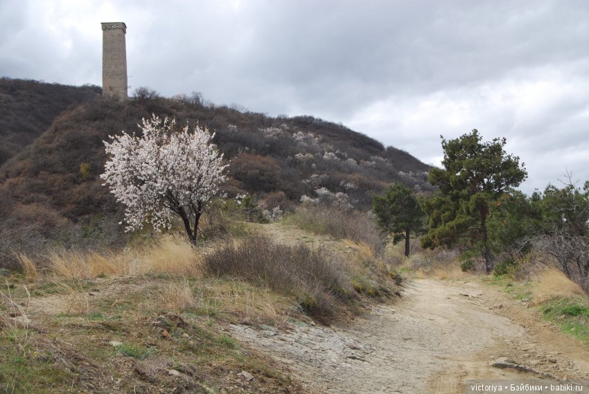 Мэри встречает весну в Грузии. Часть 3 - Тбилиси. Ваке-парк и Черепашье озеро