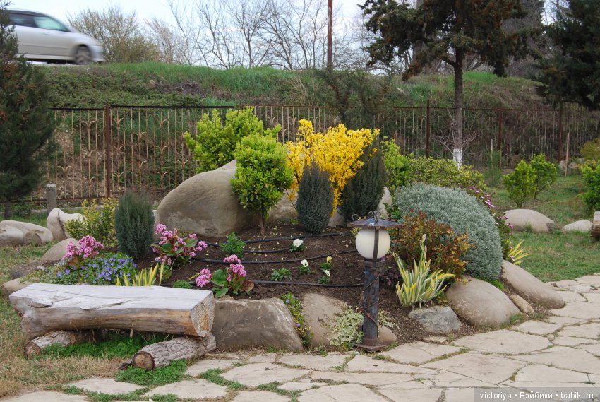 Мэри встречает весну в Грузии. Часть 4 - Кахетия