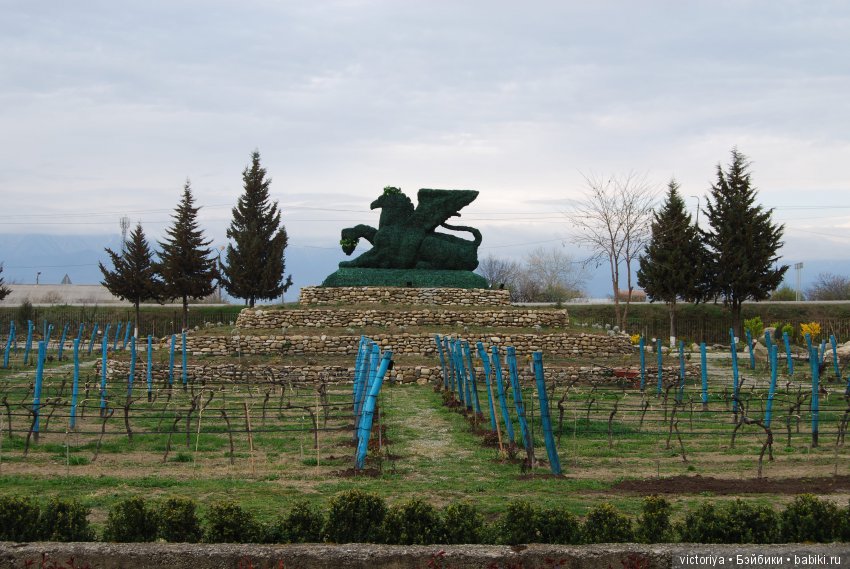 Мэри встречает весну в Грузии. Часть 4 - Кахетия