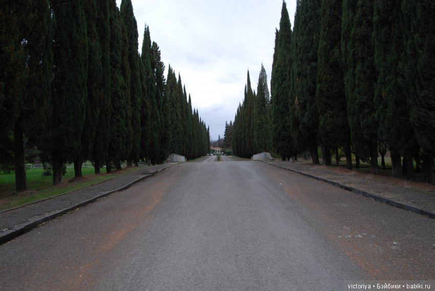 Мэри встречает весну в Грузии. Часть 4 - Кахетия