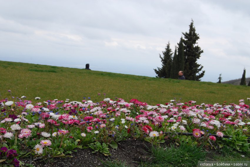 Мэри встречает весну в Грузии. Часть 4 - Кахетия (фото 4)