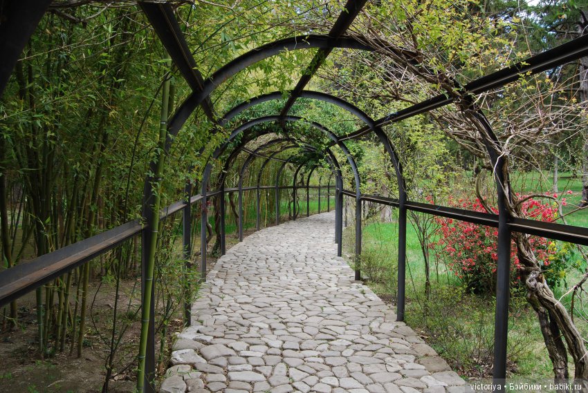 Мэри встречает весну в Грузии. Часть 4 - Кахетия