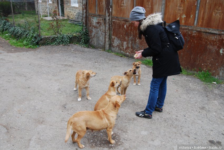 Мэри встречает весну в Грузии. Часть 4 - Кахетия