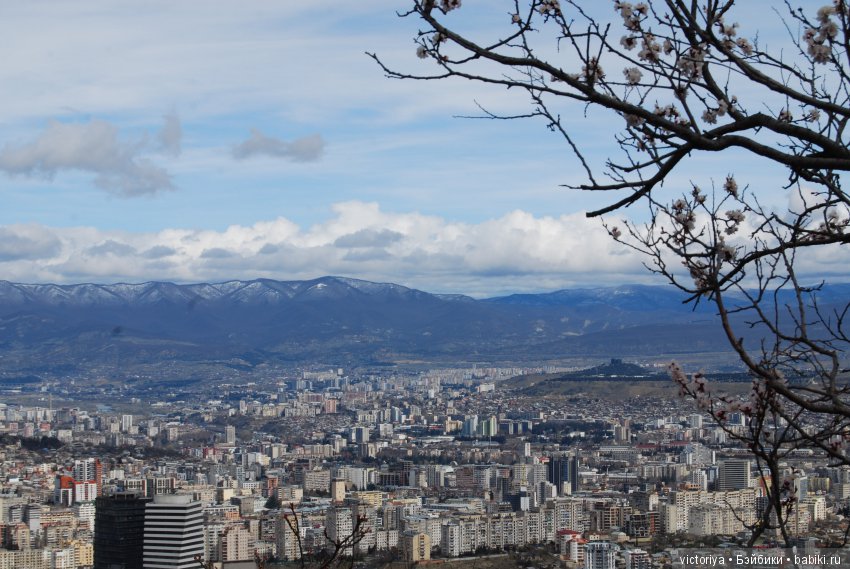 Мэри встречает весну в Грузии. Часть 3 - Тбилиси. Ваке-парк и Черепашье озеро (фото 7)