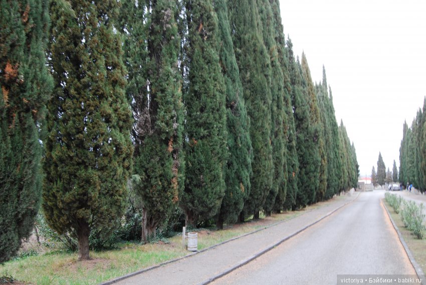 Мэри встречает весну в Грузии. Часть 4 - Кахетия