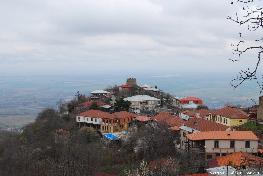 Мэри встречает весну в Грузии. Часть 4 - Кахетия