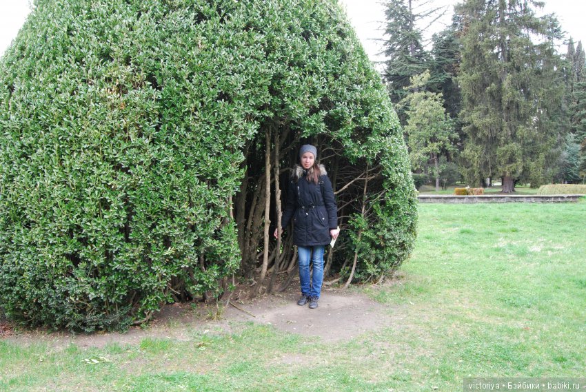 Мэри встречает весну в Грузии. Часть 4 - Кахетия