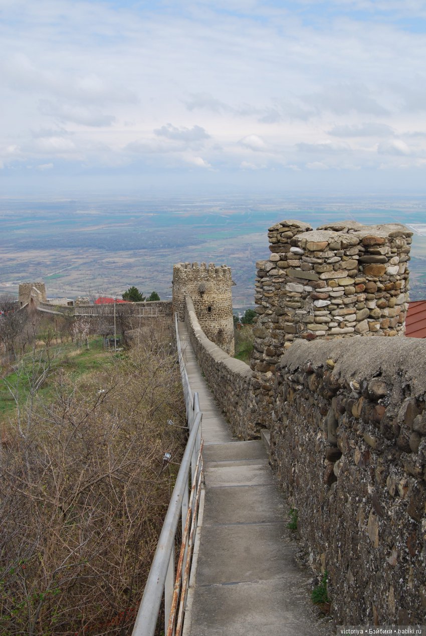 Мэри встречает весну в Грузии. Часть 4 - Кахетия