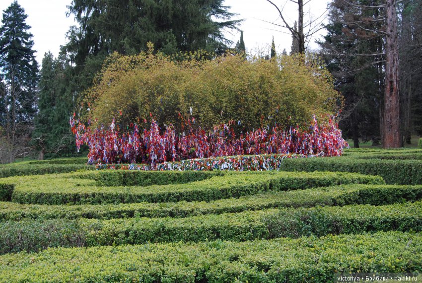 Мэри встречает весну в Грузии. Часть 4 - Кахетия