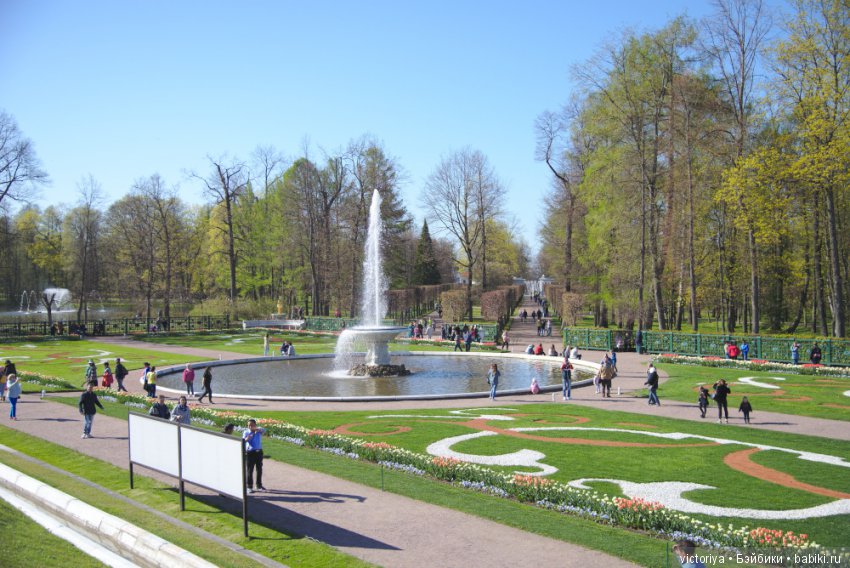 Майские каникулы в Санкт-Петербурге с Клементиной. Петергоф