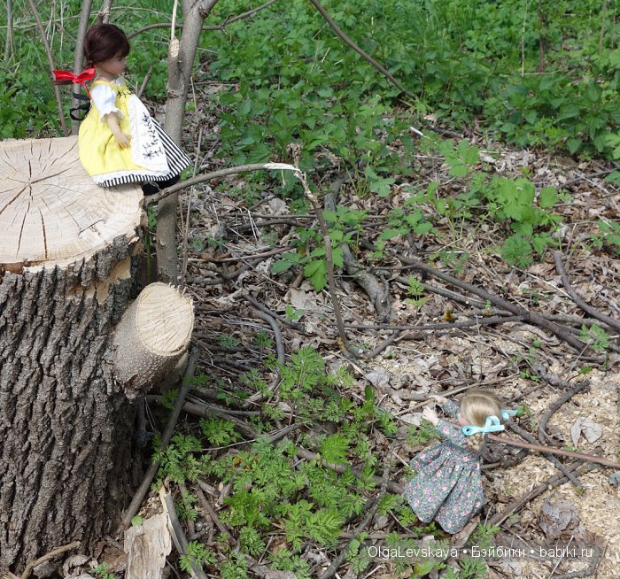 Большая прогулка маленьких девочек (фото 3)