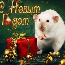 Новогодний мышиный топик