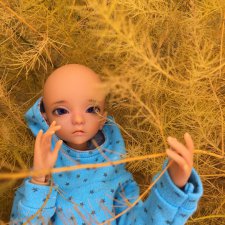 Неземная Белла от DollChateau