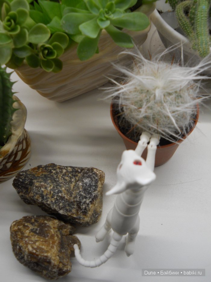 Привет, я кот — Авторские куклы BJD (БЖД) у нас дома: фото (фото 5)