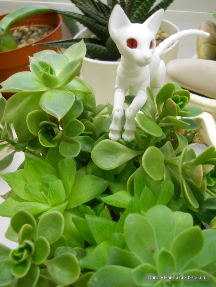 Привет, я кот — Авторские куклы BJD (БЖД) у нас дома: фото (фото 6)