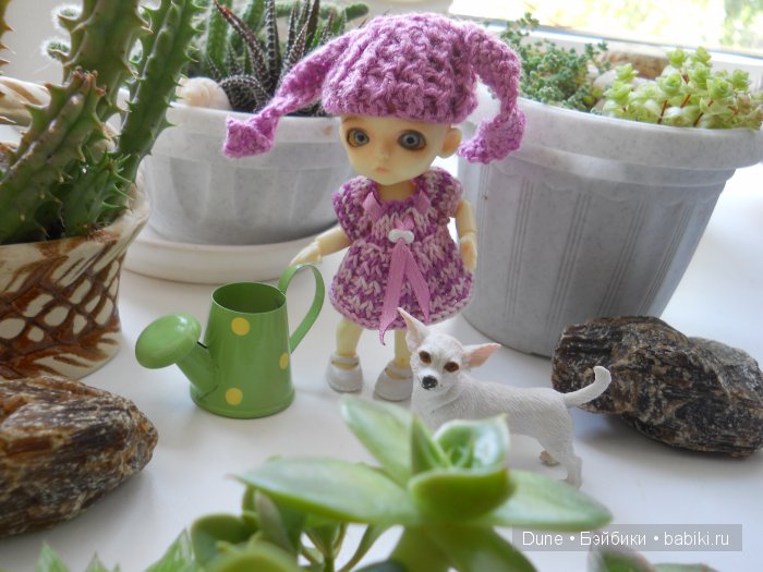 Привет, я кот — Авторские куклы BJD (БЖД) у нас дома: фото