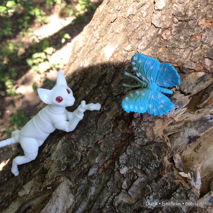 Хочешь, я поймаю тебе бабочку?