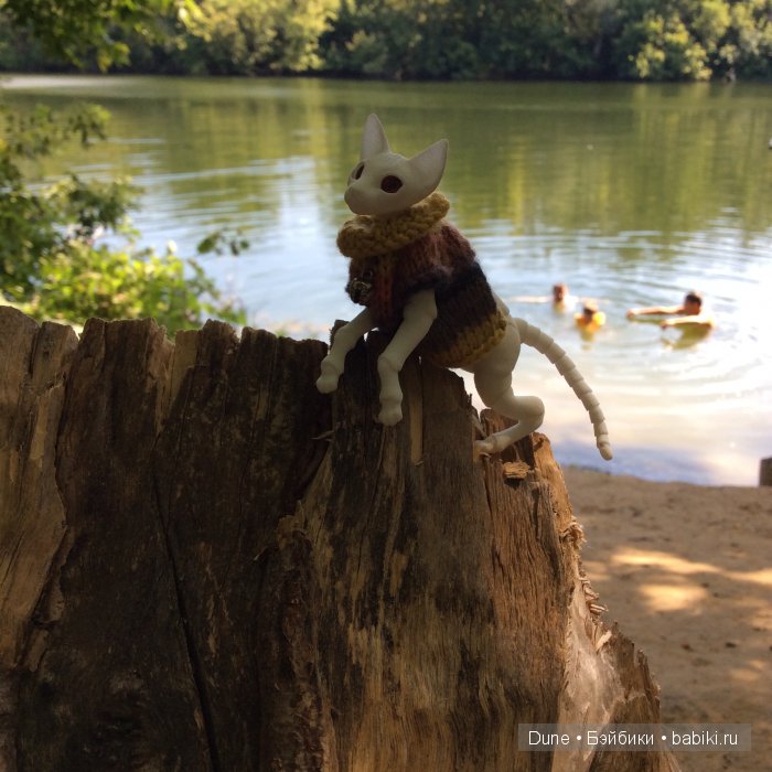 Позирует такой