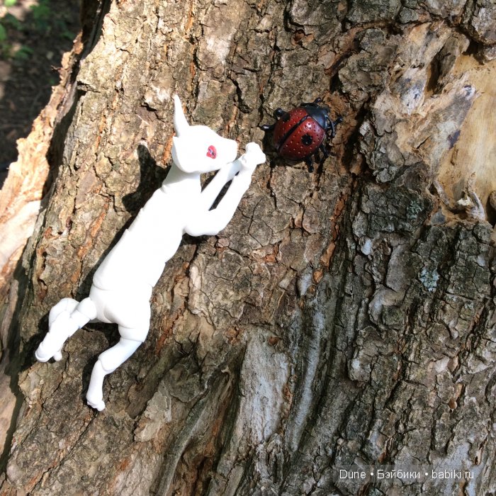 А жука будешь, мам?