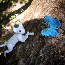 Тимоня на первой прогулке