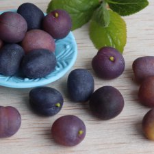 Куклы тоже любят сливы