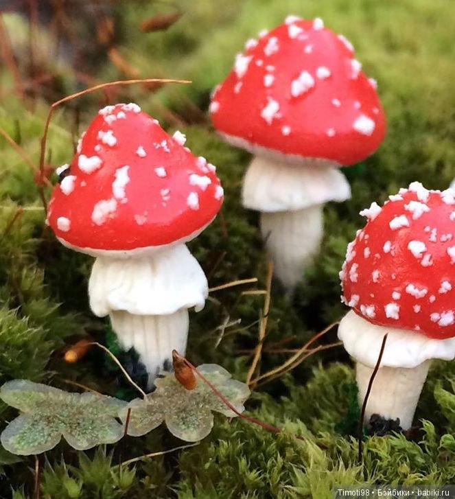 Как Ванька за грибами ходил (фото 7)