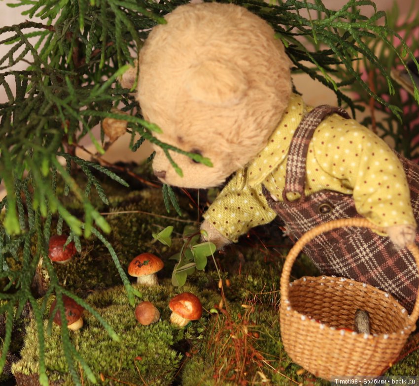 Как Ванька за грибами ходил (фото 4)