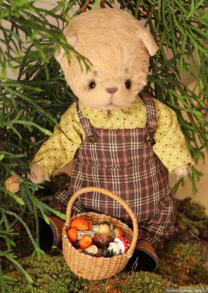 Как Ванька за грибами ходил (фото 9)