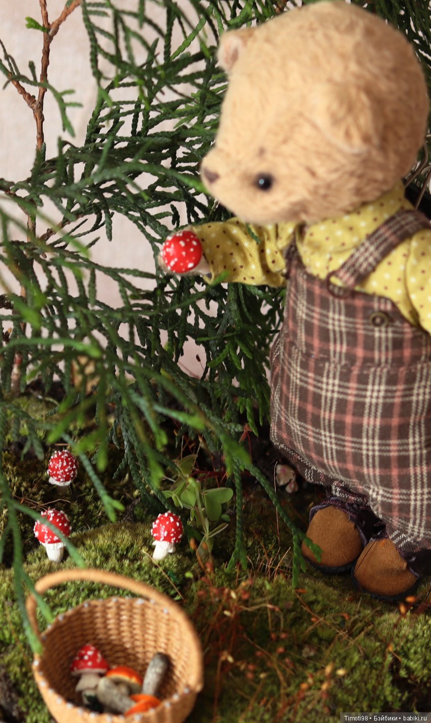 Как Ванька за грибами ходил (фото 8)