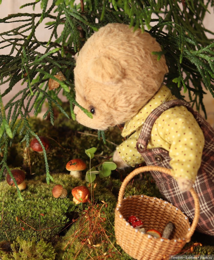 Как Ванька за грибами ходил (фото 3)