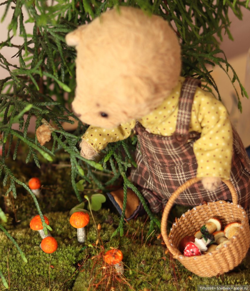 Как Ванька за грибами ходил (фото 6)