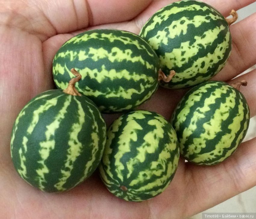 Фруктовый микс — Кукольная миниатюра своими руками: еда (фото 3)