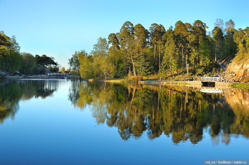 А вот вам кусочек финского Сапокка (фото 4)