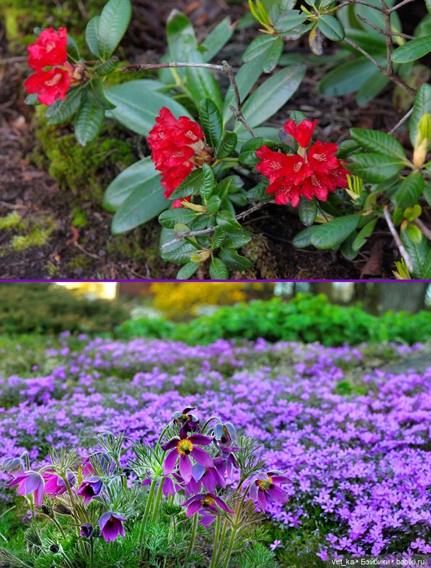 А вот вам кусочек финского Сапокка (фото 8)