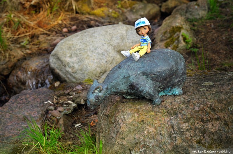 А вот вам кусочек финского Сапокка (фото 5)