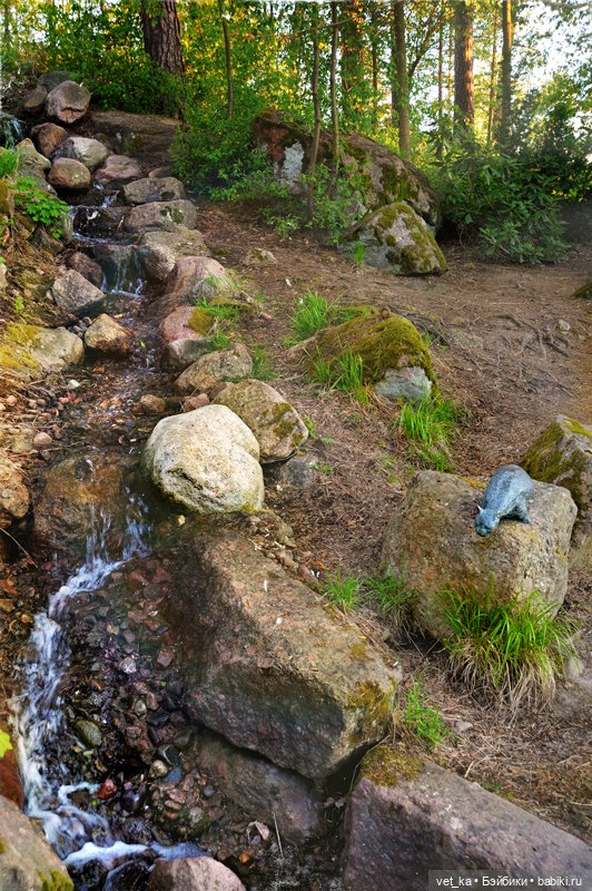 А вот вам кусочек финского Сапокка (фото 6)