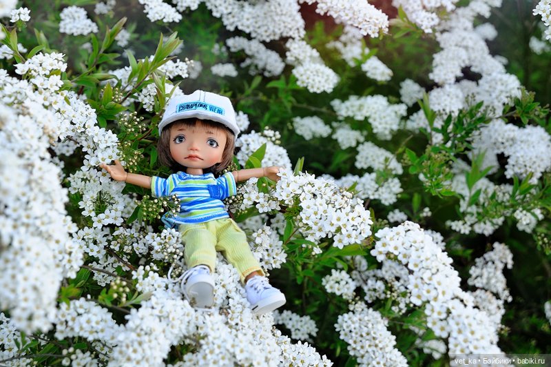 А вот вам кусочек финского Сапокка