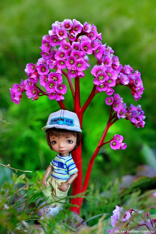 А вот вам кусочек финского Сапокка (фото 9)