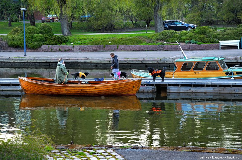 А вот вам кусочек финского Сапокка (фото 7)