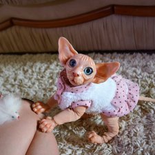 Сфинкс