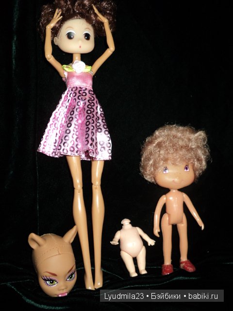 Поиски головушки закончились (фото 2)