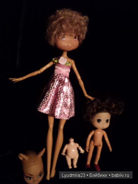 Поиски головушки закончились (фото 3)